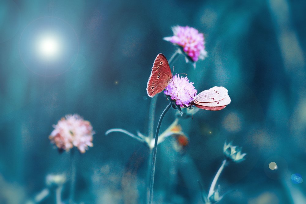 Удивительное рядом!