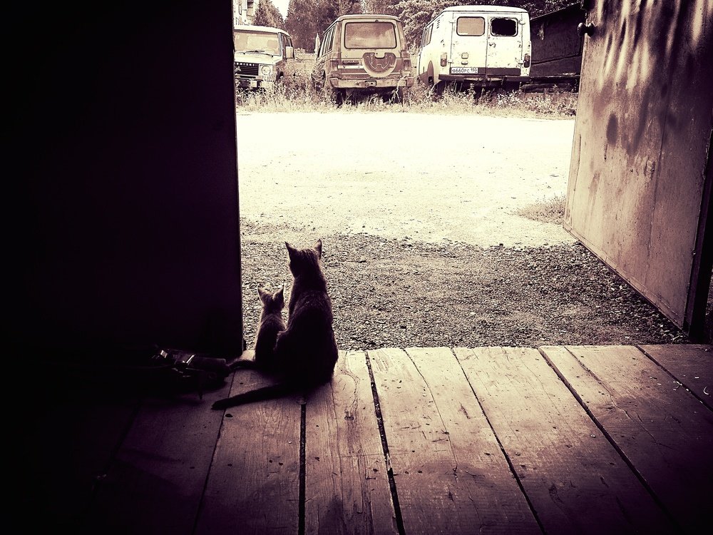 Photograph by cartoon62