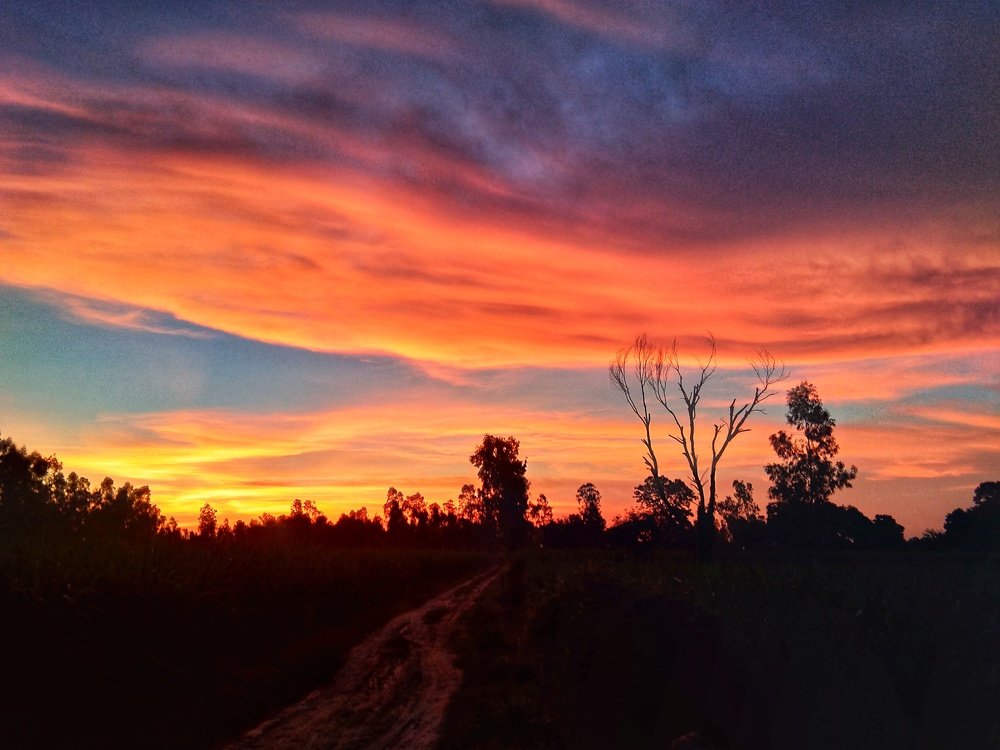 The Beautiful Evening
