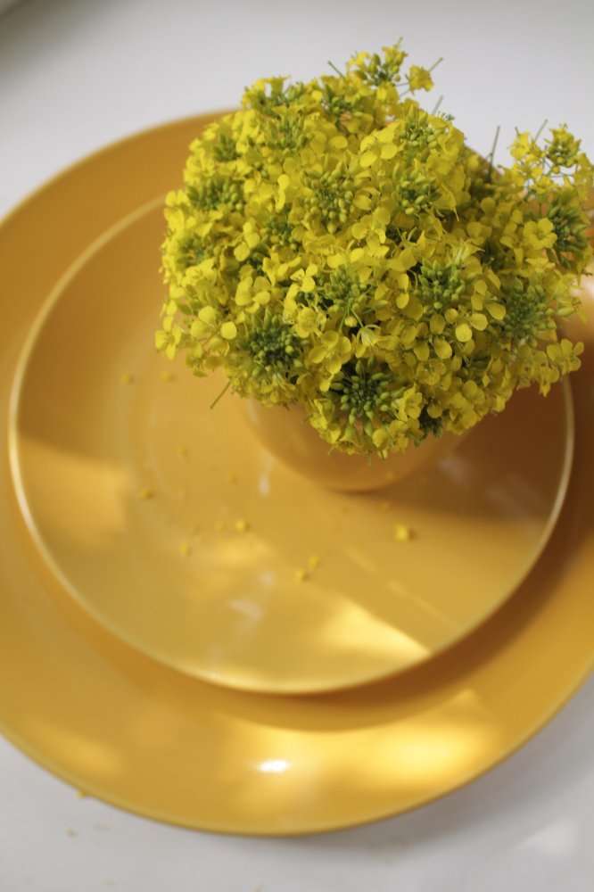 Photograph by Елена