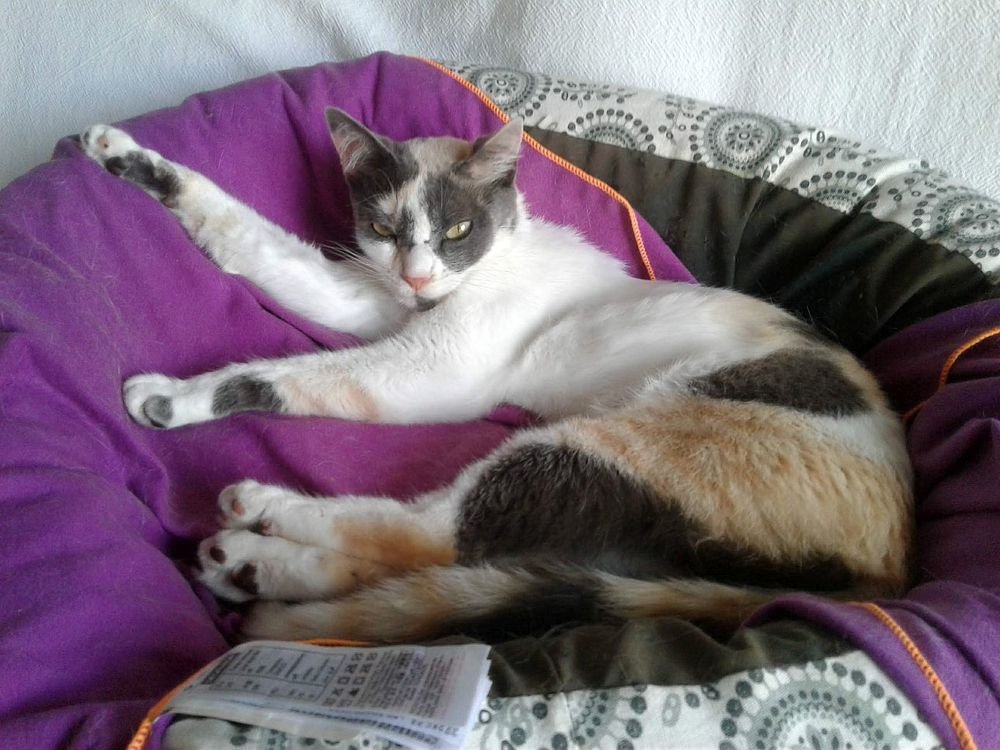 Queen Lucy