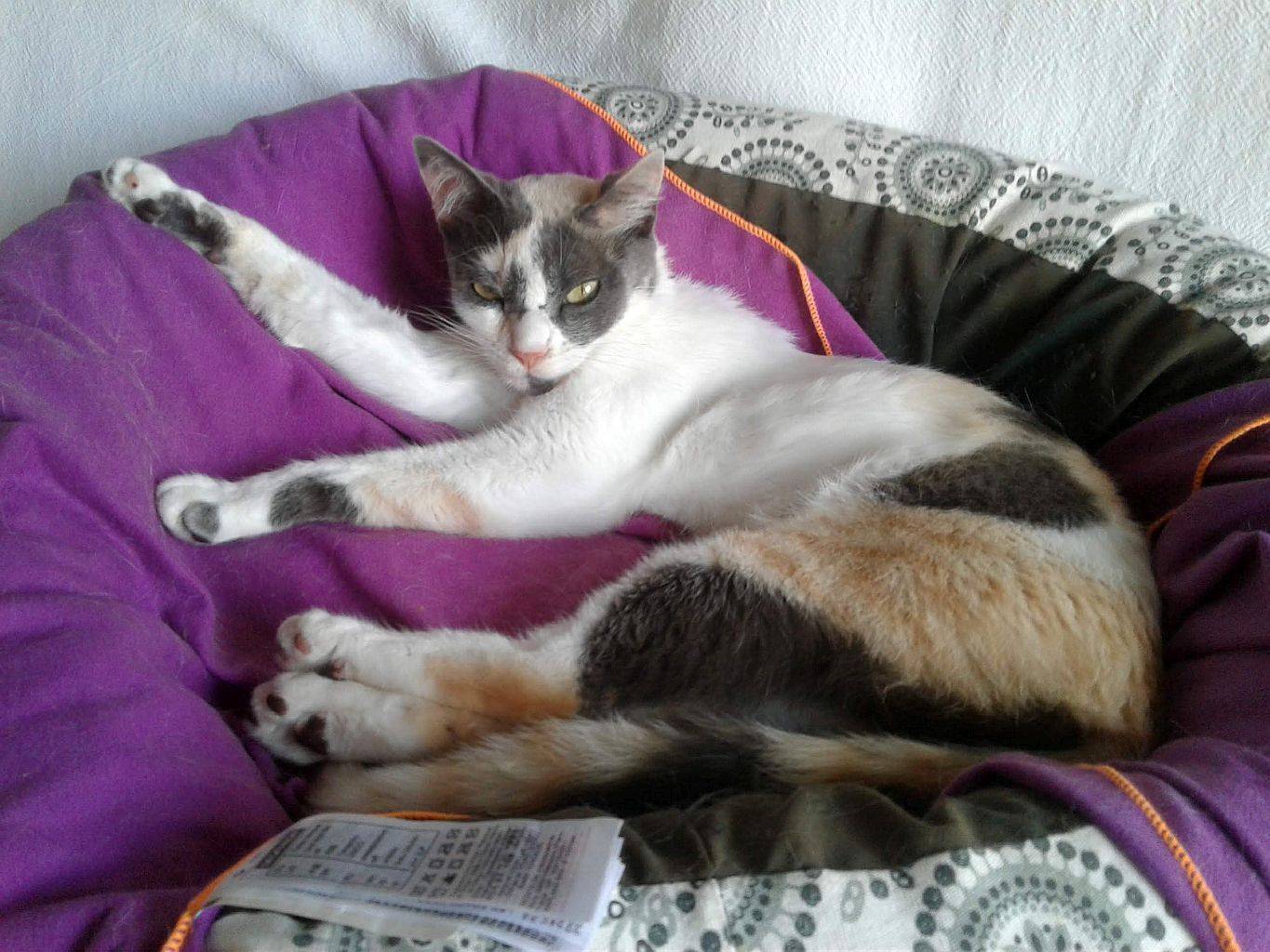 Queen Lucy