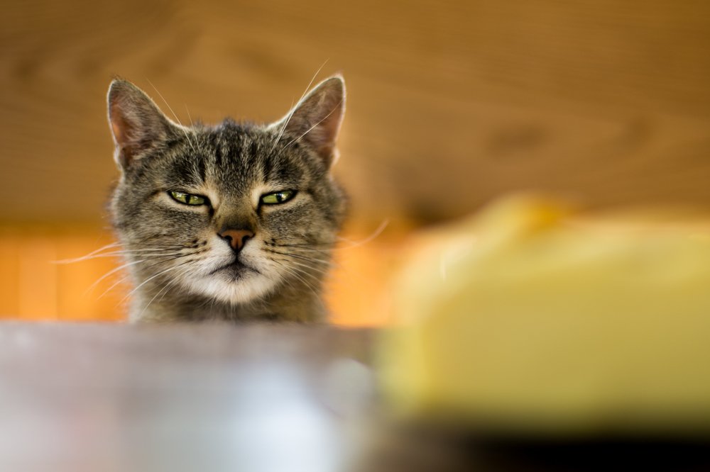 Любой ценой