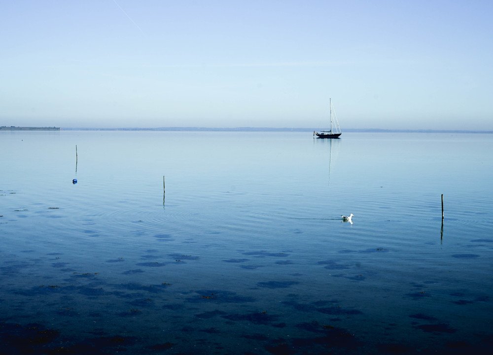 Photograph by Susanne Larsen