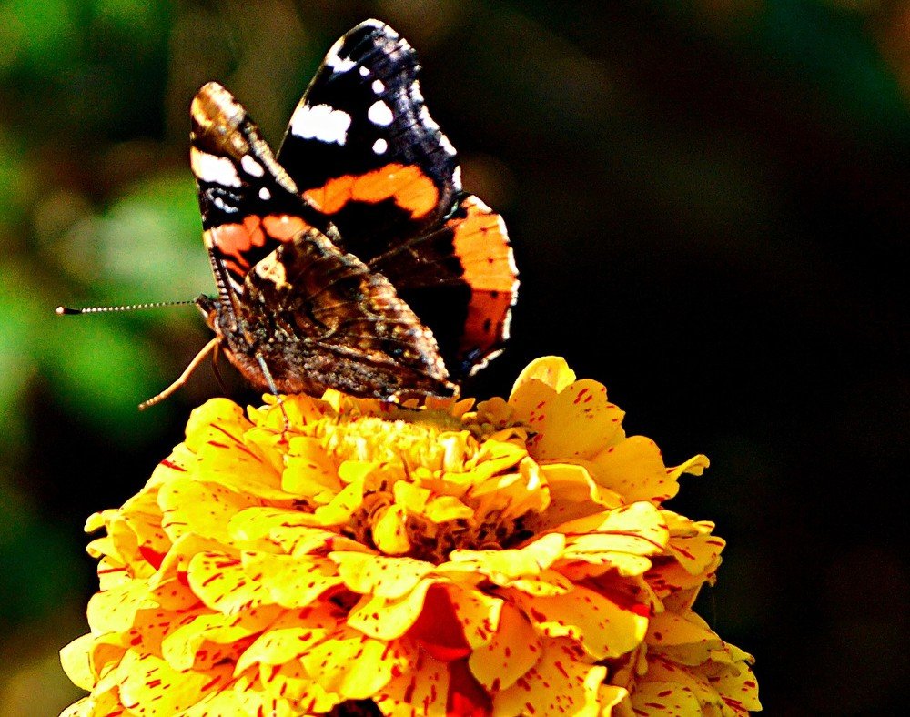 Photograph by Алексей Епишин