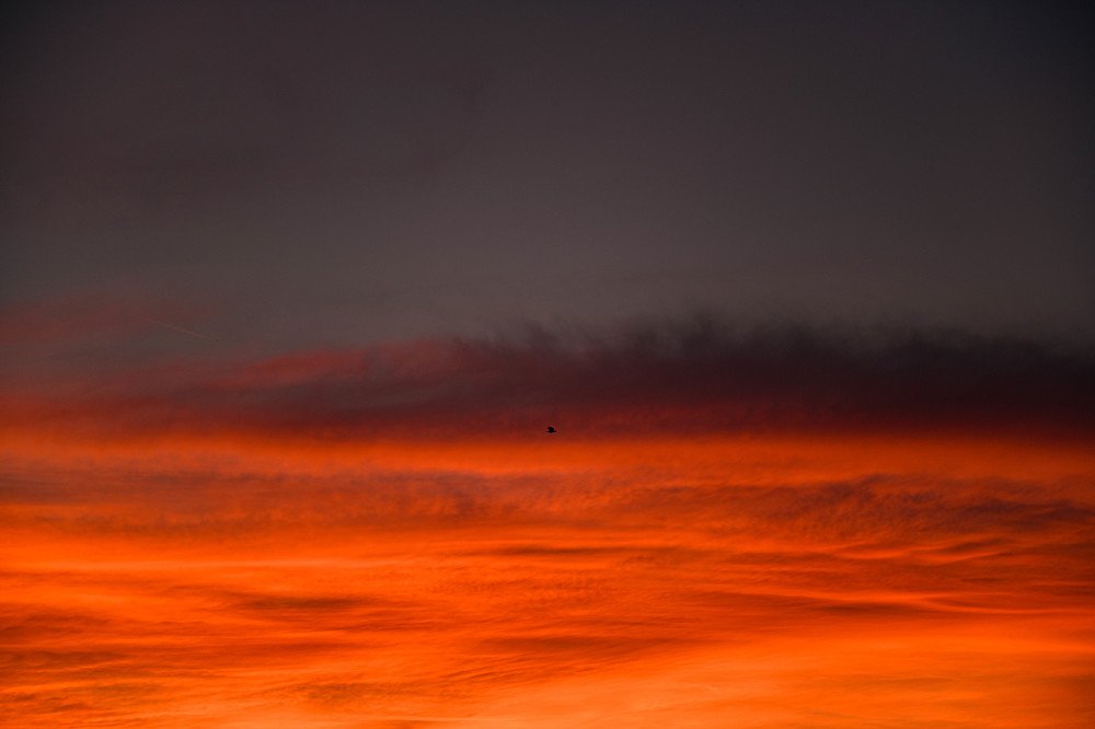 Черный ворон.Закат