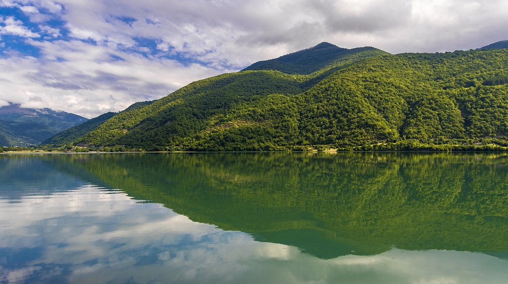 Photograph by Alex Kalpus