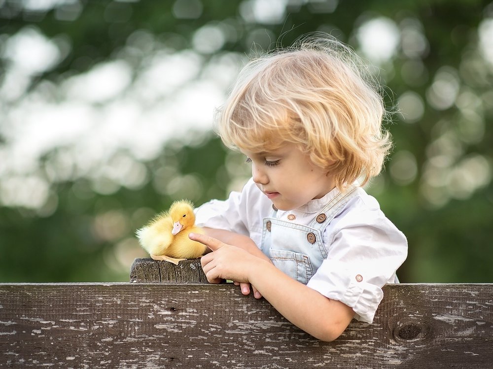 Photograph by Татьяна Кондрашова