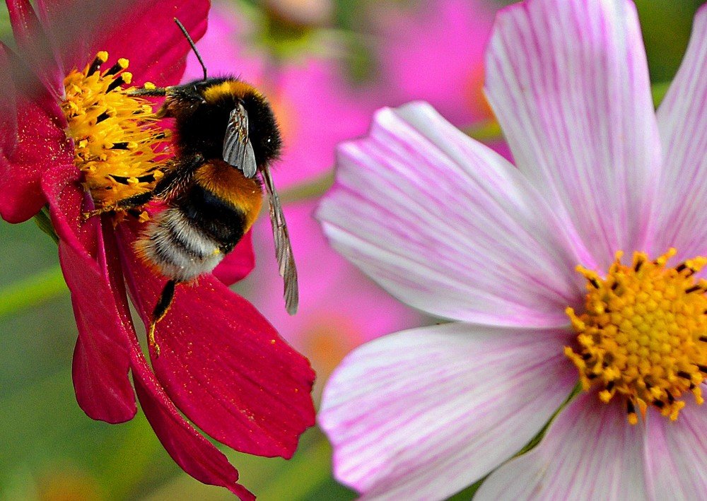 Photograph by Алексей Епишин