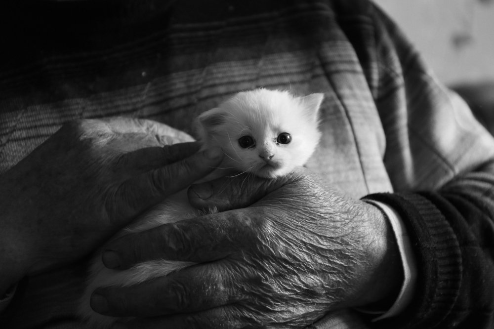 Photograph by Ирина Попова