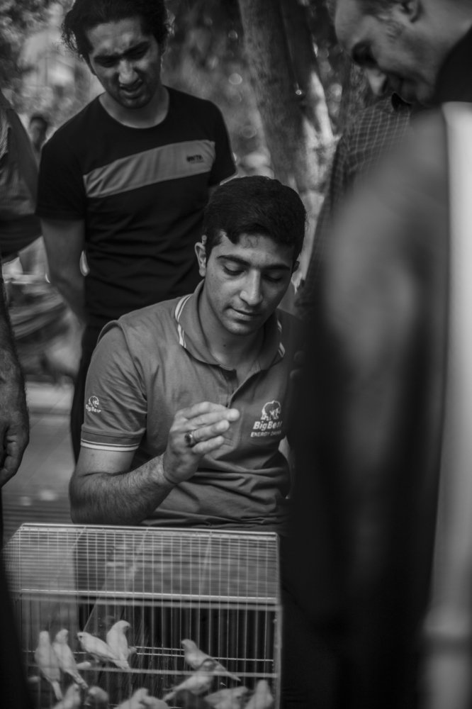 Фотография автора  سبحان جودی