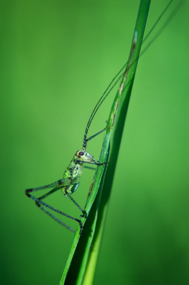 Photograph by Владимир Парадный