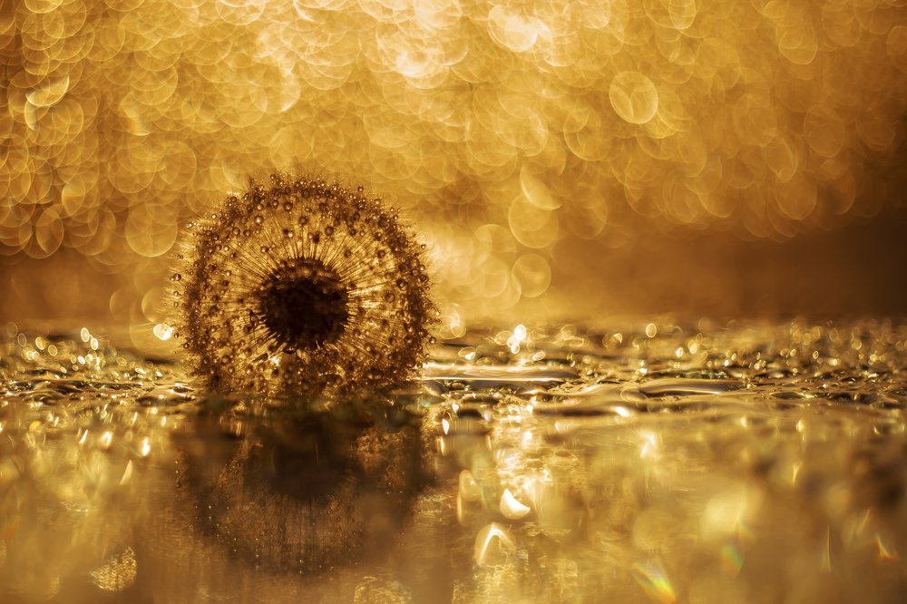 Золотой шар