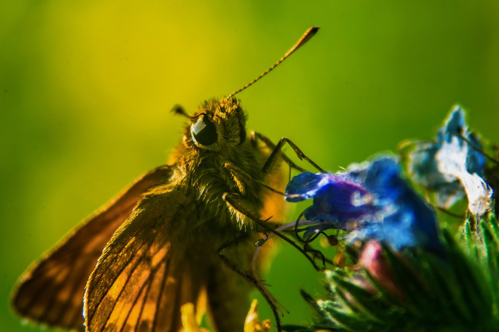 Photograph by Владимир Парадный