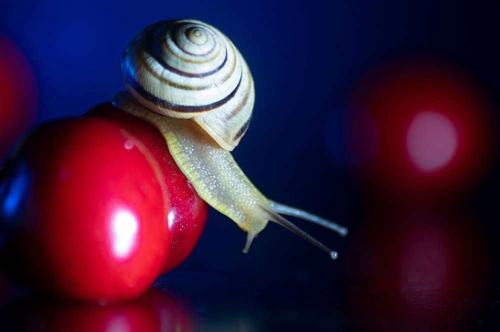 Photograph by Владимир Парадный