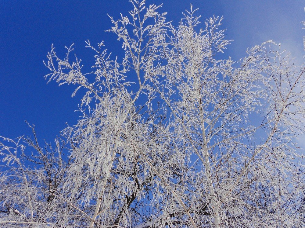 Photograph by Денис Лащ