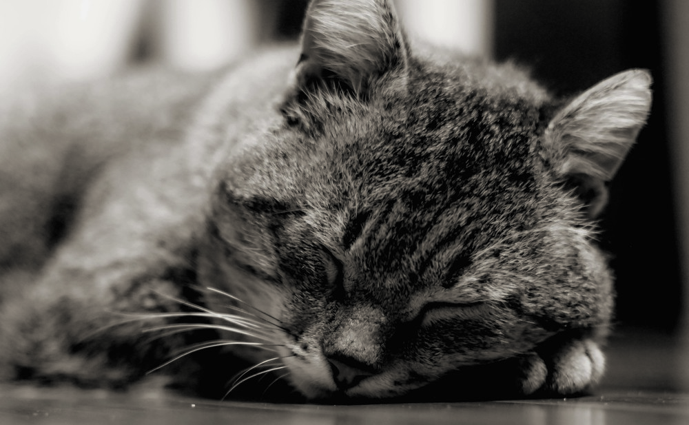 Photograph by Сергей Забиякин