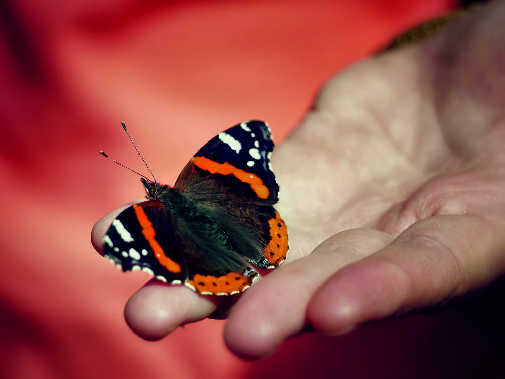 Photograph by Сергей Забиякин