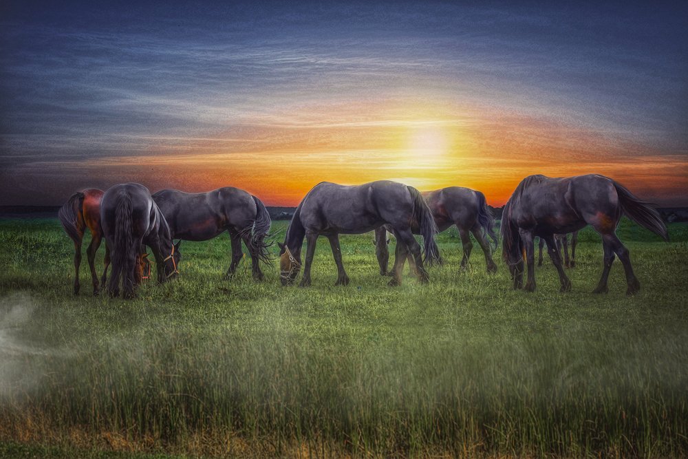Спокойный закат