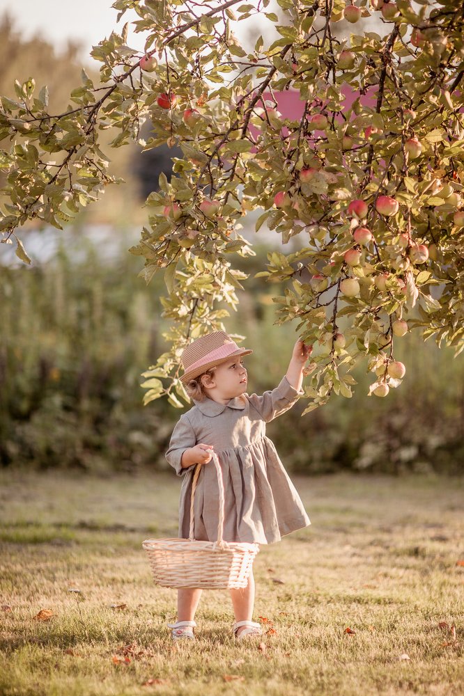 Девочка и яблоня