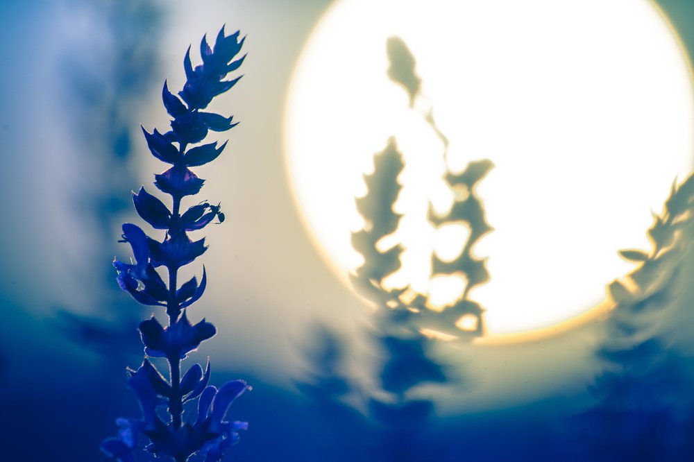 Photograph by Владимир Парадный