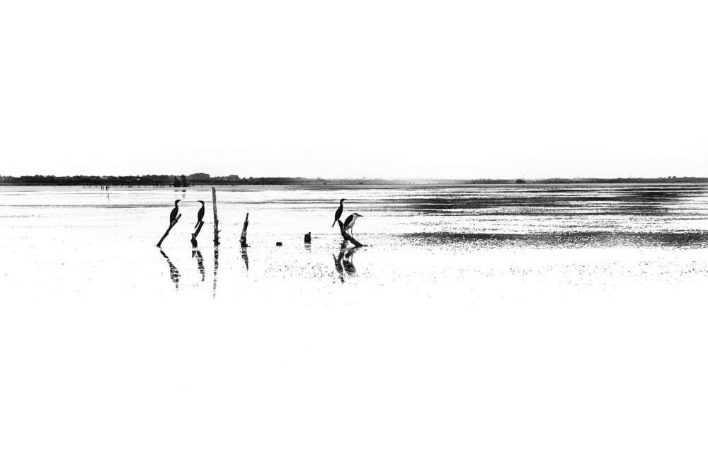 Photograph by Nader Grotta