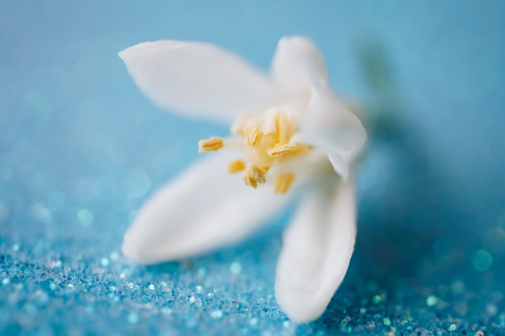 Фотография автора Summerlin