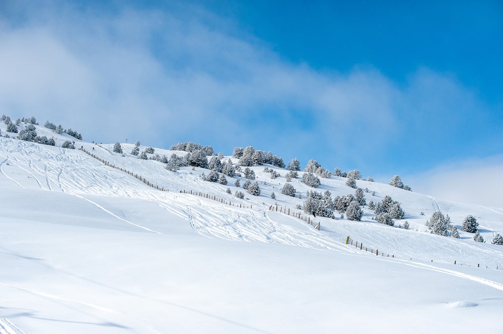 На покатушках