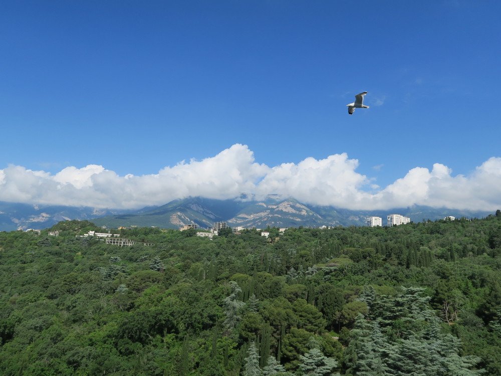 Photograph by Elena Nadeeva