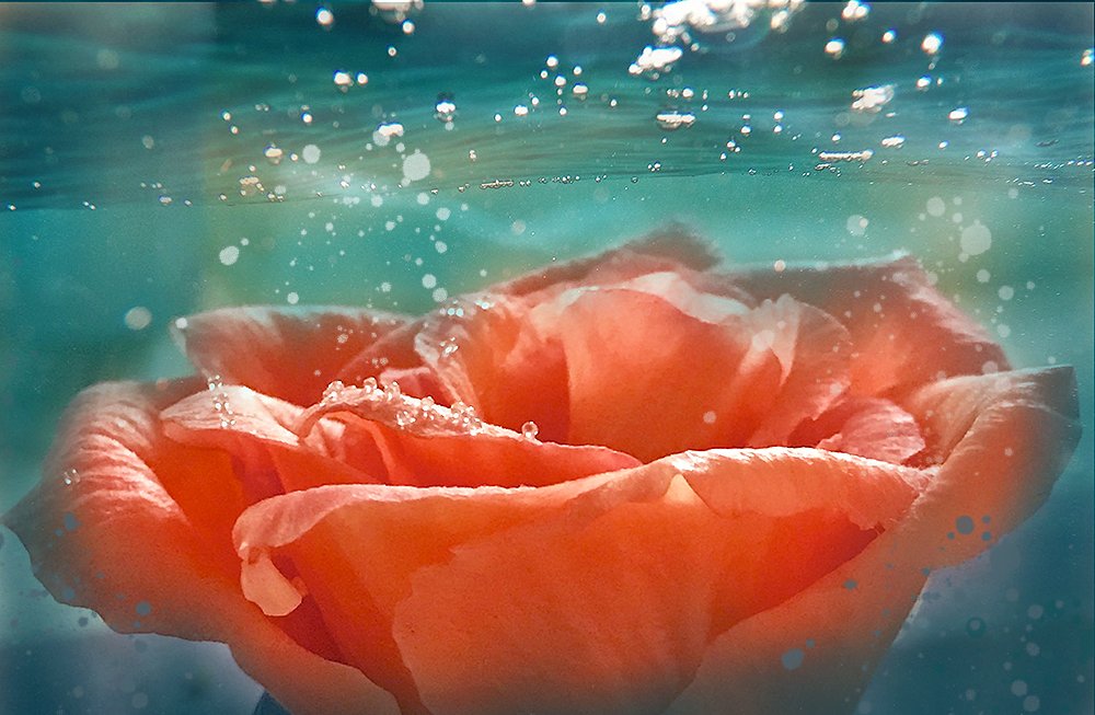 Погружение