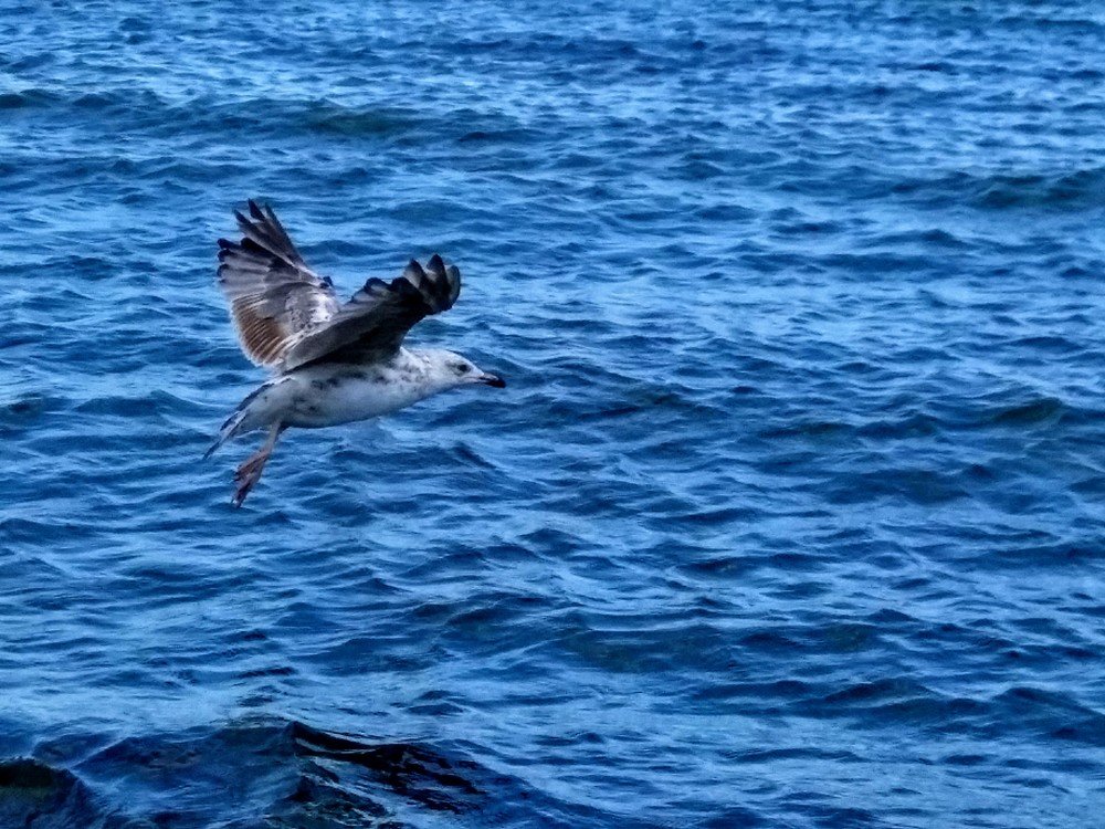 Photograph by Денис Лащ