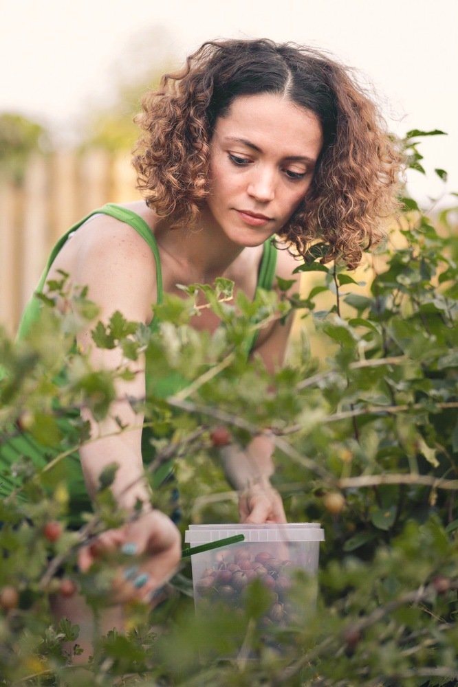 Собирательница