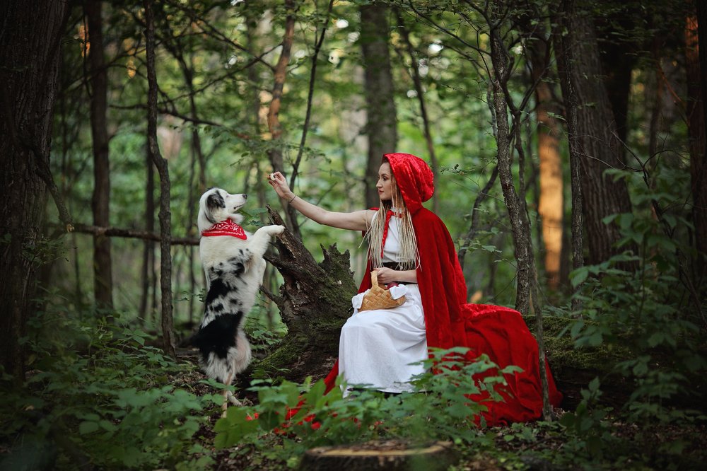 В сказочном лесу