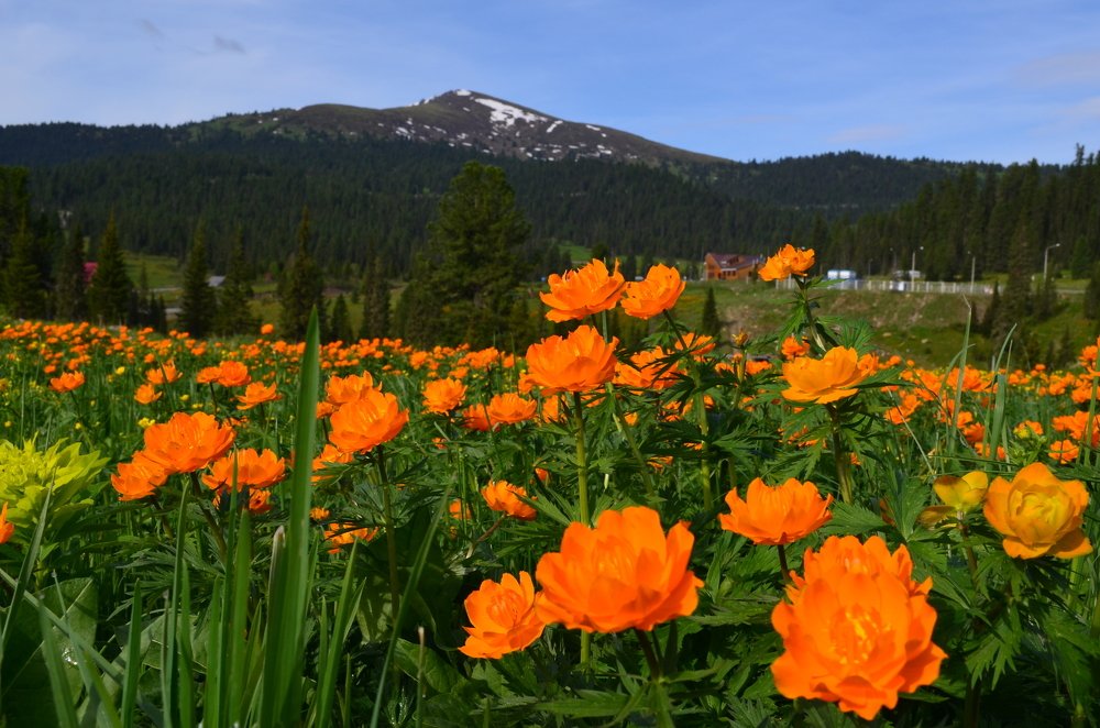 Природный парк Ергаки
