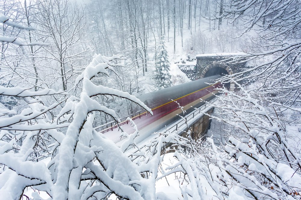 Snow train