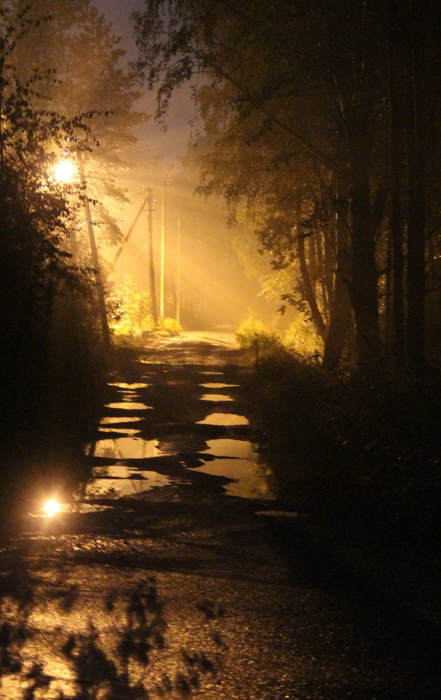 ночь, улица, фонарь