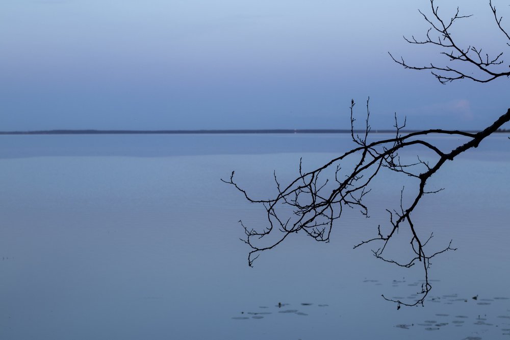 Фотография автора Ольга Никанович