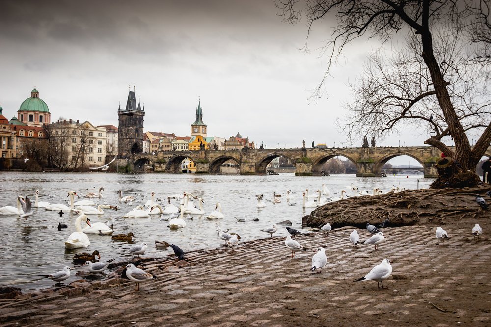 Prague