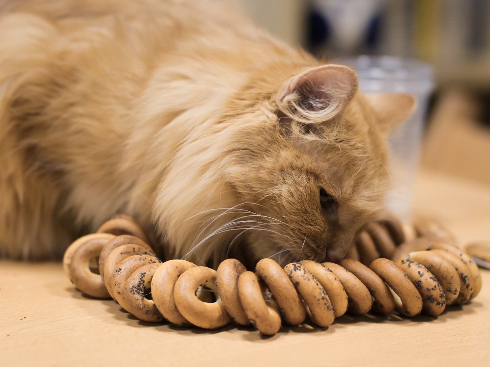 Чай с сушками 1