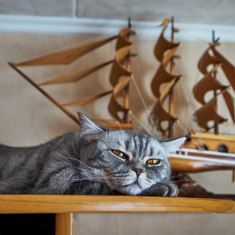 О дальних странах