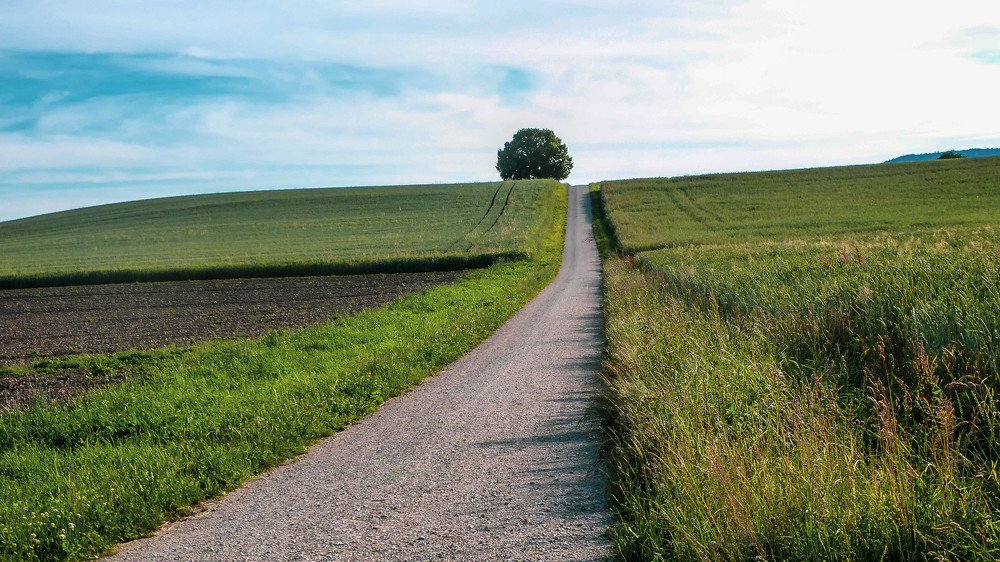 Photograph by Meier Zorica