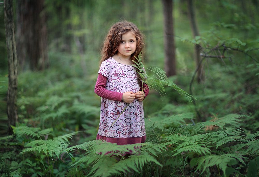 Цветок папоротника