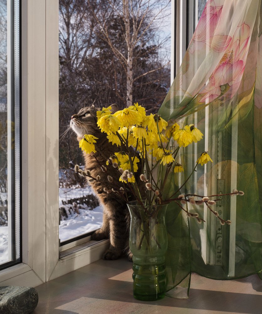 Весна, ты скоро?