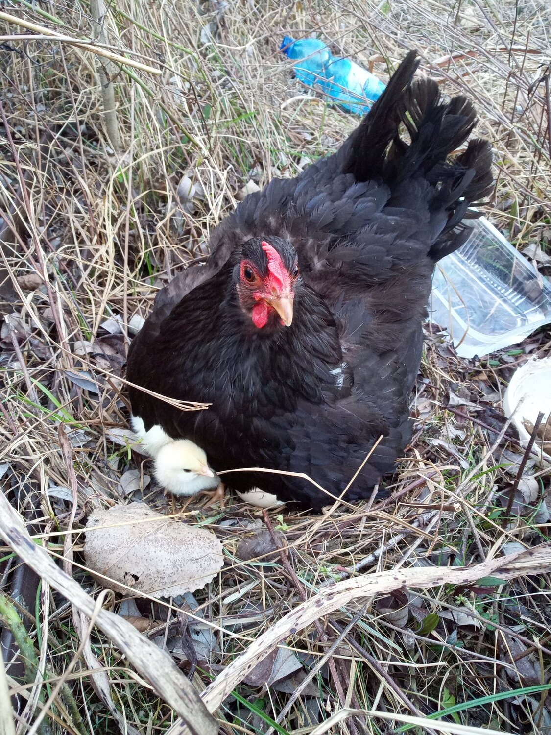 First time outside
