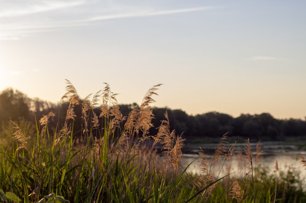 Безмятежность