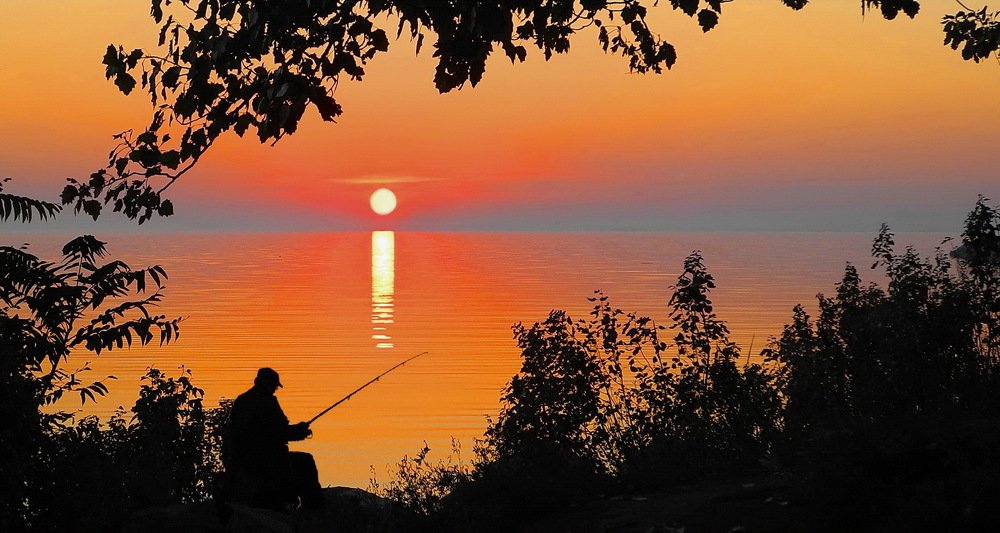 И весь мир он поставил на паузу.