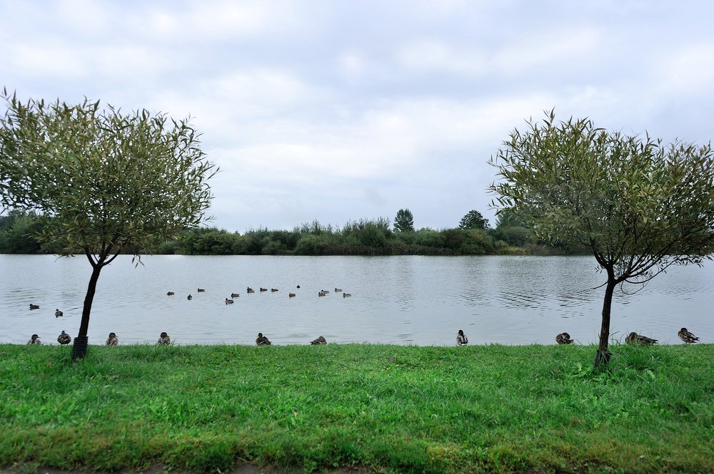 Свислочь - 2