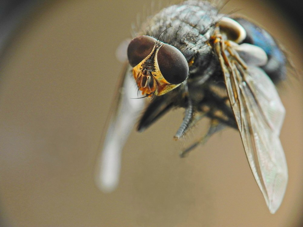 Иду на посадку.