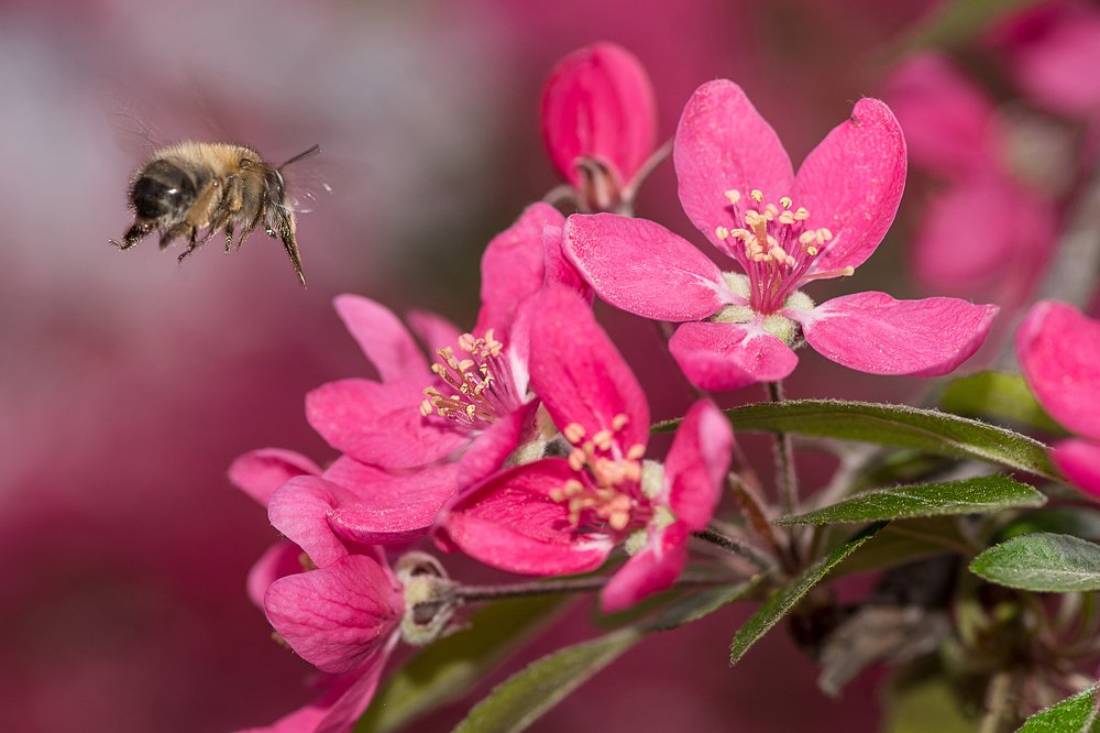 За секунду до стыковки