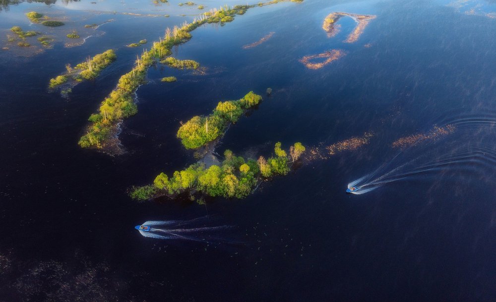 По водным просторам